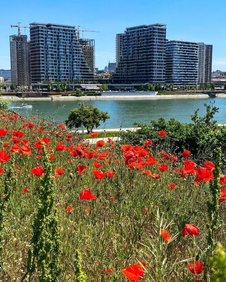 Dom Boutique Apartments - Park View Belgrade Luaran gambar